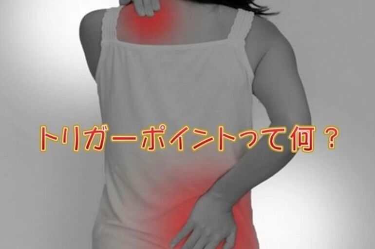 キャプチャtoriga-