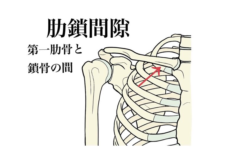 肋鎖間隙