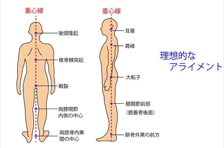 重心線前額矢状面