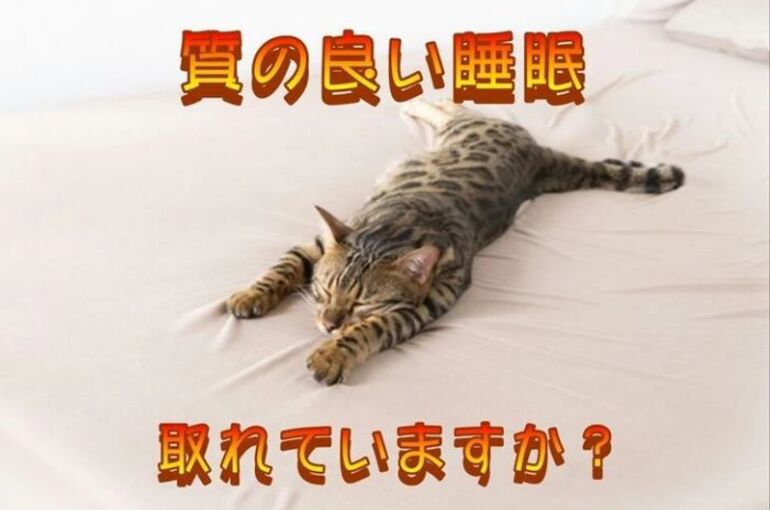 キャプチャｓｕｉｍｉｎｎ