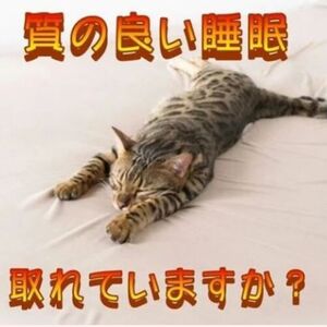 質の良い睡眠