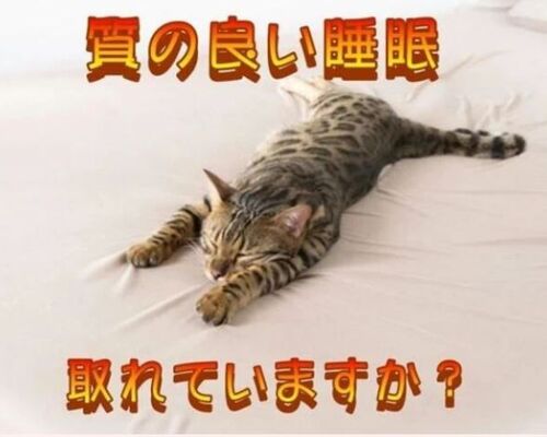 質の良い睡眠