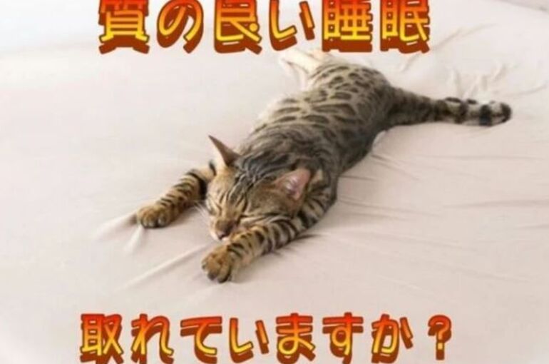 質の良い睡眠