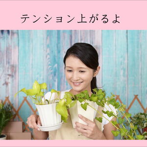 横