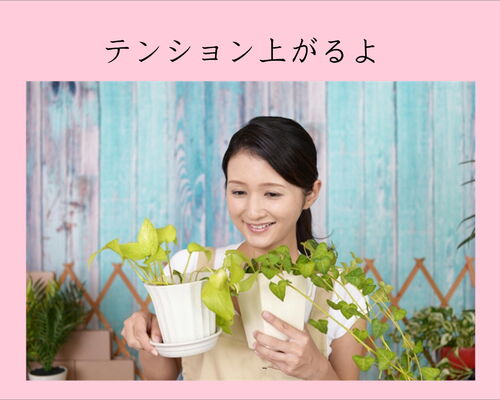 横