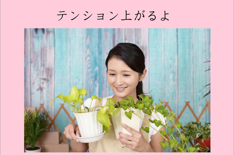 横