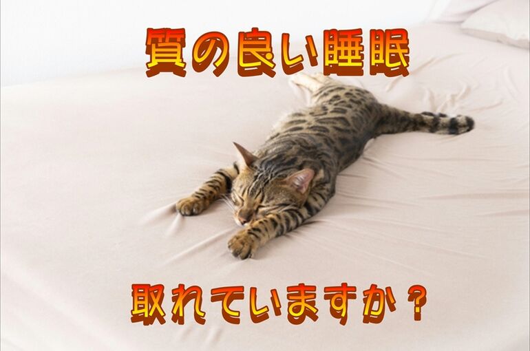 睡眠