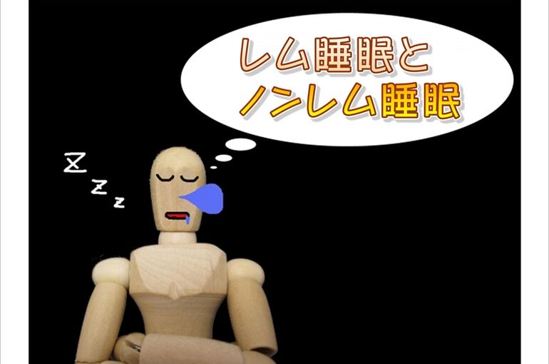 レムとノンレム