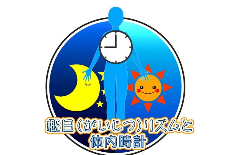 体内時計写真